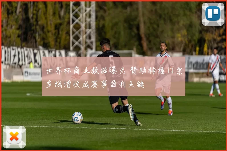 世界杯商业数据曝光 赞助转播门票多线增收成赛事盈利关键